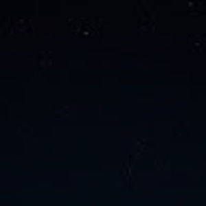 Meet your Posher, Ella